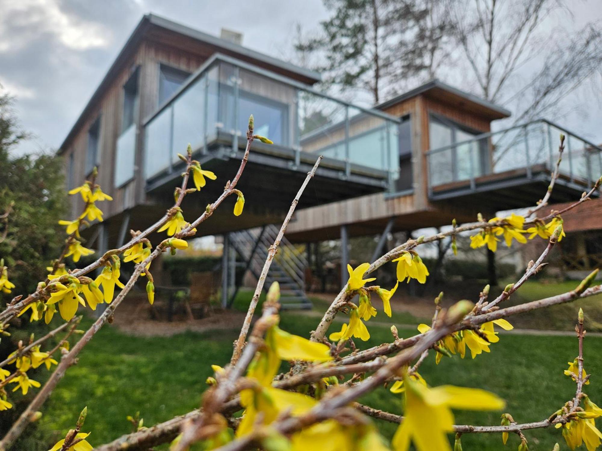 Baumhaus Und Tinyhaus Villa Mühlhausen Exterior foto